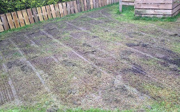 lawn stage 2