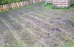 lawn stage 3
